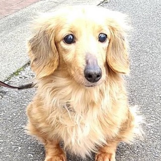 ※トライアル中の為募集一時中止中