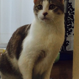 甘えんぼの女の子です!!