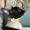 pinoco^^^^