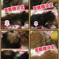 震災を乗り越え繋がれた愛しき可愛い兄妹たち☆彡