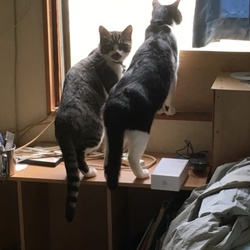 久しぶりに投稿