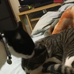 「久しぶりに投稿」サムネイル2