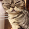 けいあか