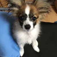 くうた