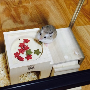 二階建て物件。