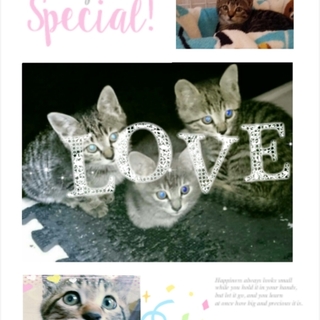 可愛いおちびちゃん３匹