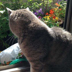 ぬくぬくな背中が好き♡