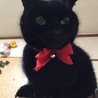 とっちゃんです