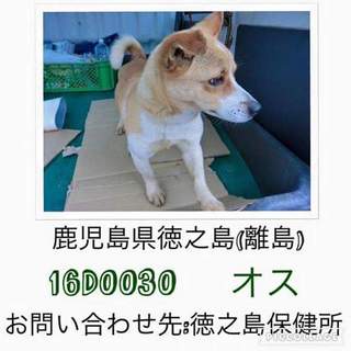 この子の命を救ってください。