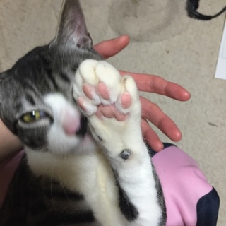 甘えん坊くん♪