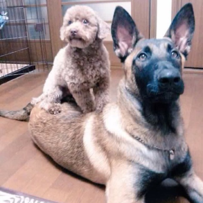 なったん1118のカバー写真