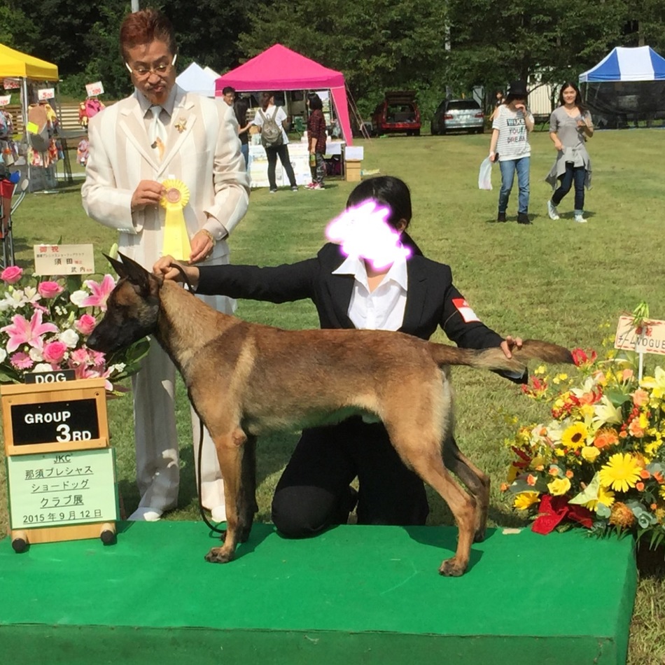 LUCK〔ラック〕のカバー写真