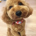 家族を探しています♡
