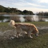 公園散策。
