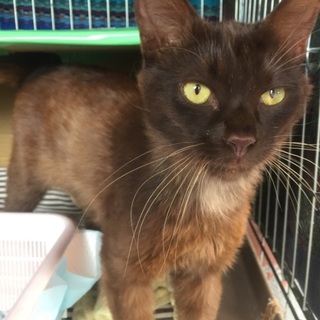 甘えん坊な6ヶ月の男の子♡