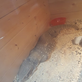 問い合わせstop！！