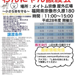 わんにゃん譲渡会