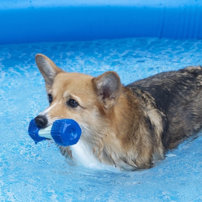 ブルーチェックのカバー写真