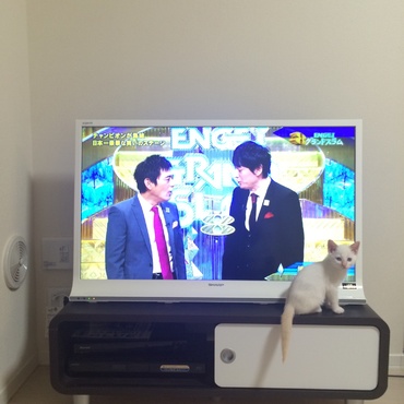 はなまる「ねぇねぇ、どっちが華丸さん？教えて〜！」