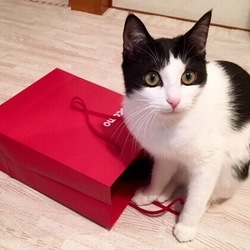 1歳になりました