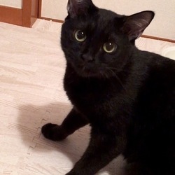 「1歳になりました」サムネイル2