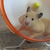 4/23 赤ちゃんできたかな？