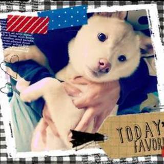 可愛い盛りの女の子たち、とっても人懐っこいですよ。