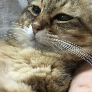 ウチの赤ちゃん♪