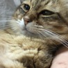 ウチの赤ちゃん♪