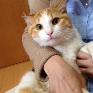 チャコ　　おとなしい子です