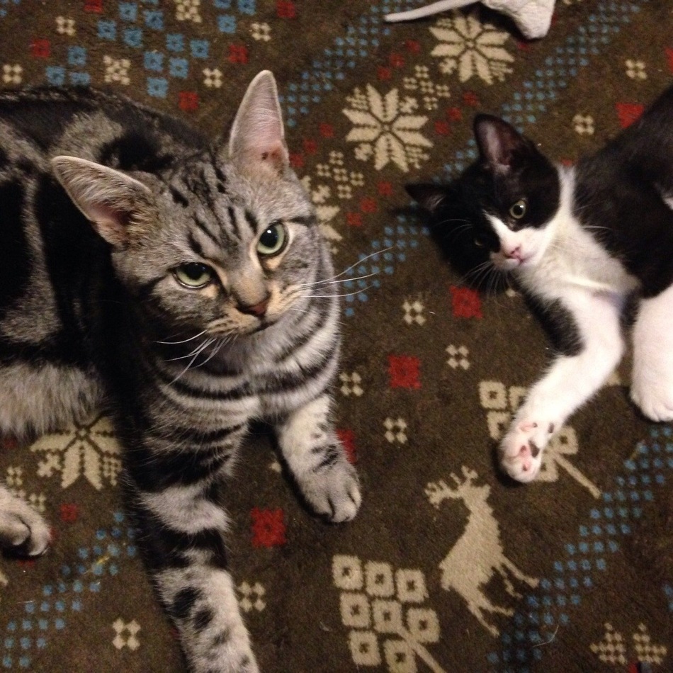 ららのカバー写真