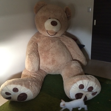 薄暗い部屋…真横にいるボスに狙われていることに、はなまるはまだ気付いていない…！！