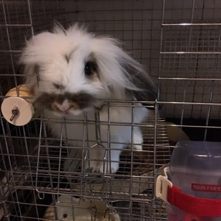 大切に育ててくれる方