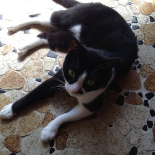 里親様が見つかりました。