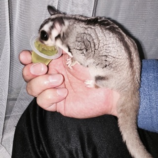 たくさんの連絡ありがとうございました