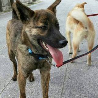 若くてイケメン、超かしこい子♬