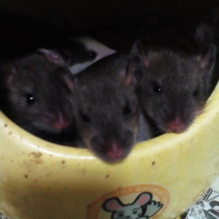 無事決まりました、ありがとうございます