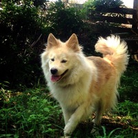 ジン（仁之助）