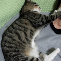 「お気に入りのフミ場所は、なんと・・・！？」サムネイル2