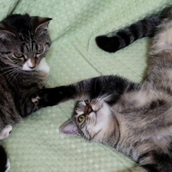 「お気に入りのフミ場所は、なんと・・・！？」サムネイル1