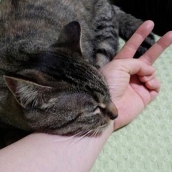 「お気に入りのフミ場所は、なんと・・・！？」サムネイル3