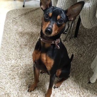 トライアルに入りますので一旦募集停止中