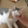 安心してくれているかも