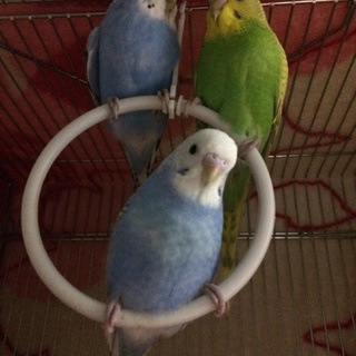 多数の応募ありがとうございました☆