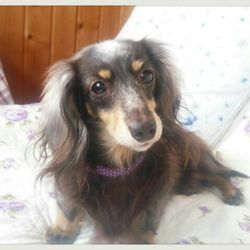 私の想うこと。