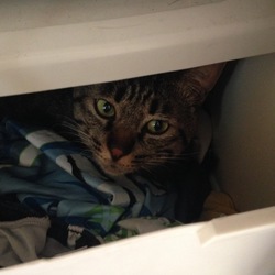 (￣□￣;)!!  閉めれないやん…