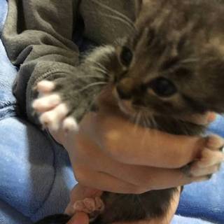 4月5日生まれの兄妹です。