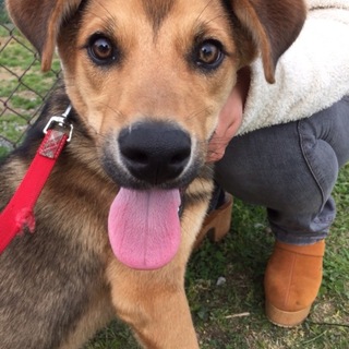 交渉中のため募集一時停止中