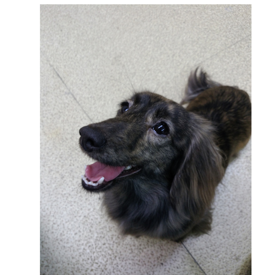 ＡＭＧ (ｴｰ･ｴﾑ･ｼﾞｰ)のカバー写真