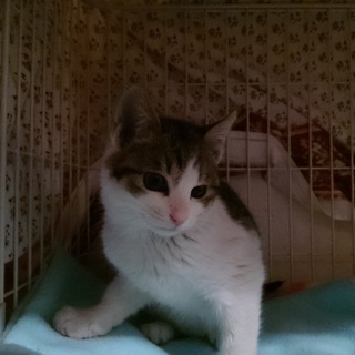 里親様決定しました！